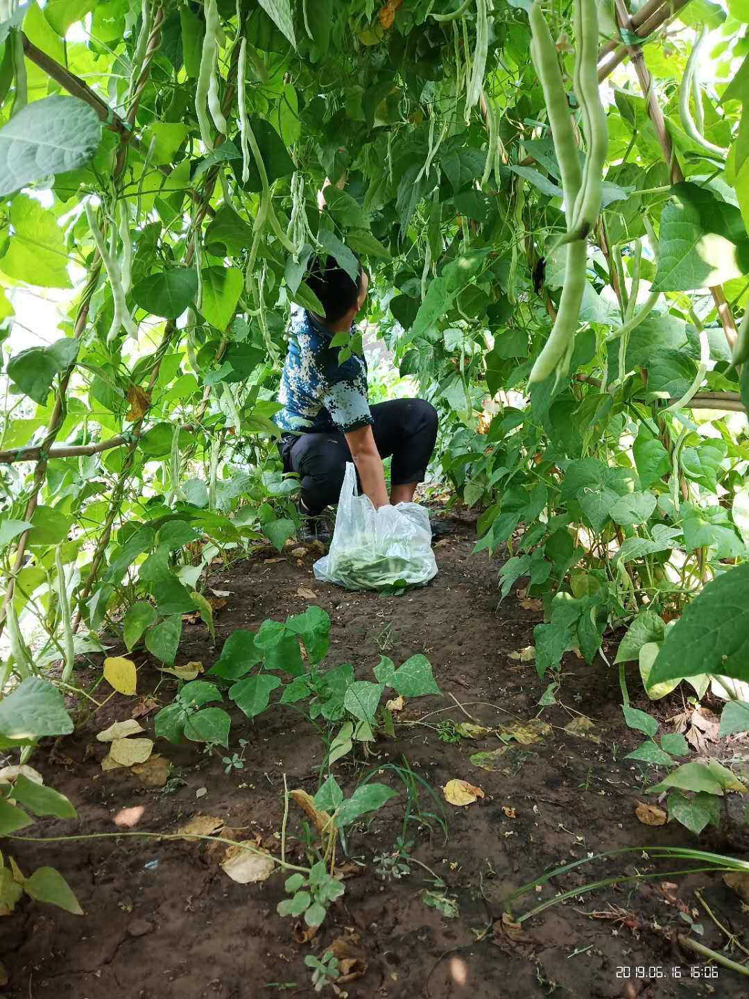 微信图片_20190616234915.jpg
