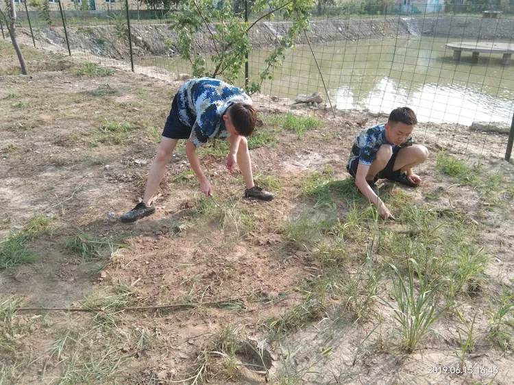 微信图片_20190616163552.jpg