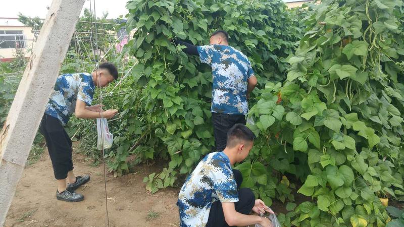 微信图片_20190616234907.jpg